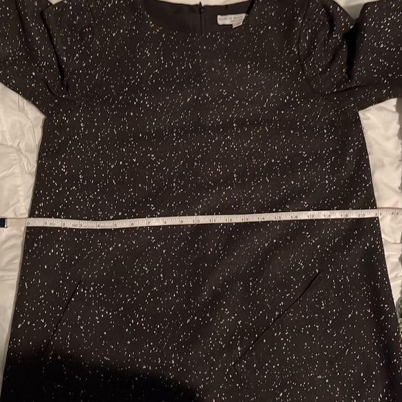 Birds of North America Winter Dress - Picture 6 of 7